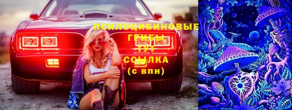 амф Балахна