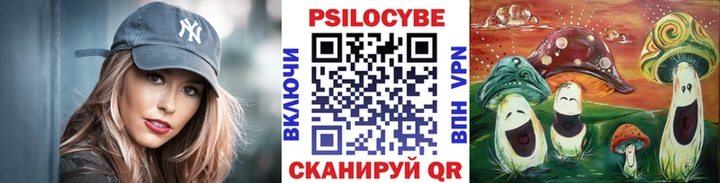 hydra как войти  Светлоград  Галлюциногенные грибы MAGIC MUSHROOMS  где купить наркоту 