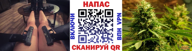 наркота  Светлоград  Конопля Amnesia 